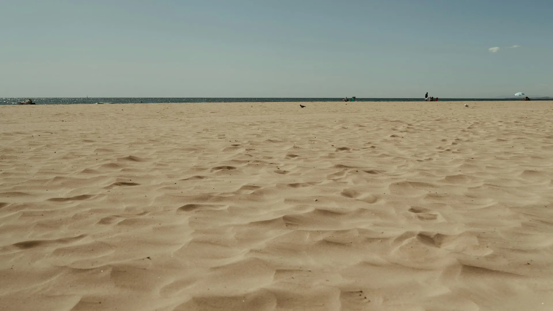 Beach horizon representing expansive data landscape